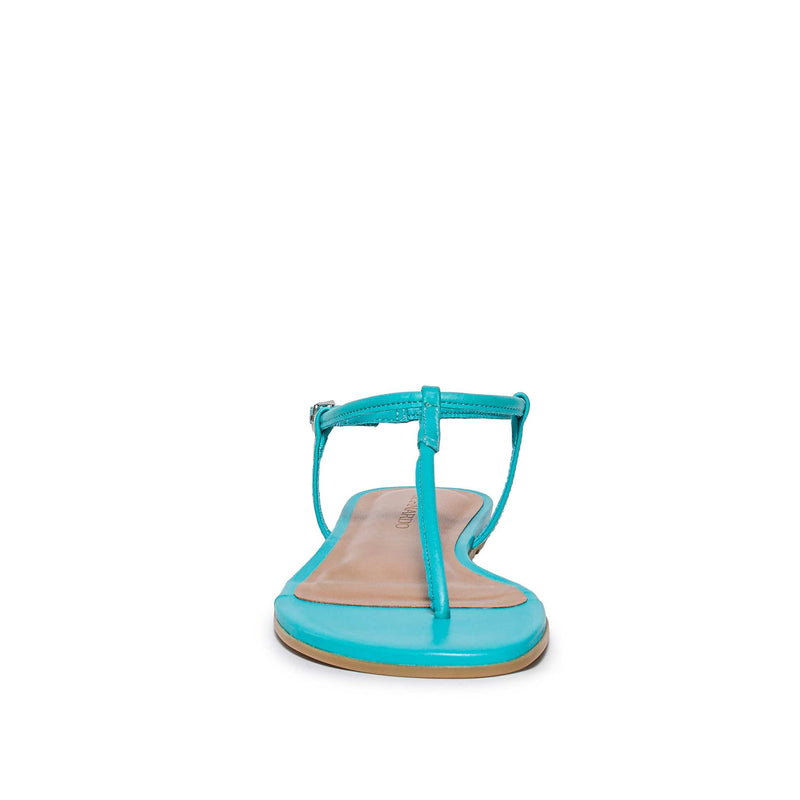 Bernardo Haven Thong Flate Sandaler Dame Blå | AYQ3023ZA