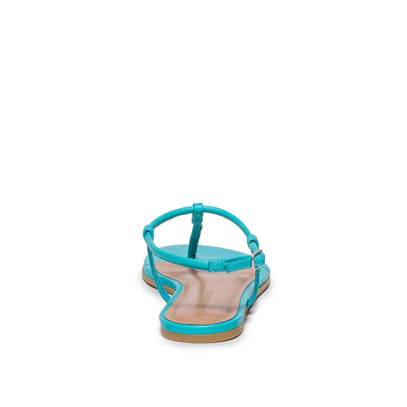Bernardo Haven Thong Flate Sandaler Dame Blå | AYQ3023ZA